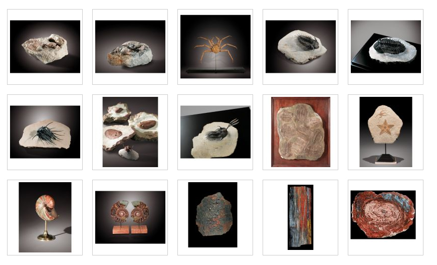 įvairios fosilijos ir mineralai parduoti Sotheby 2010