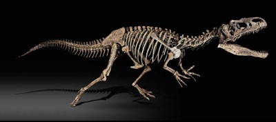 Dinozaurų kolekcionavimas – brangus pomėgis